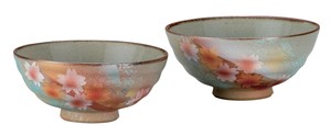 日本の伝統工芸品【九谷焼】 組飯碗 陽光花文   (K9-526) (K8-470)