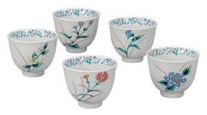 日本の伝統工芸品【九谷焼】 汲出揃 五草花   (K9-810) (K8-731)