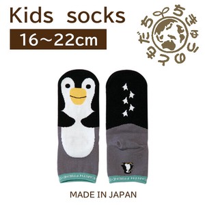 日本製　靴下【1P】キッズソックス【ペンギン】