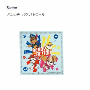 Handkerchief Skater for Kids 30 x 30cm