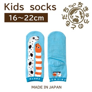日本製　靴下【1P】キッズソックス【チンアナゴ&ニシキアナゴ】