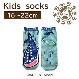 日本製　靴下【1P】キッズソックス【ジンベエザメ】