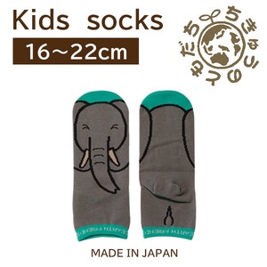 日本製　靴下【1P】キッズソックス【ゾウ】