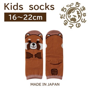 日本製　靴下【1P】キッズソックス【レッサーパンダ】