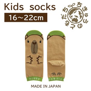 日本製　靴下【1P】キッズソックス【カピバラ】