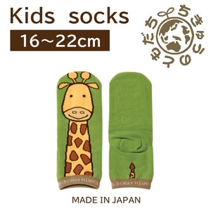 日本製　靴下【1P】キッズソックス【キリン】