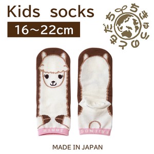 日本製　靴下【1P】キッズソックス【アルパカ】