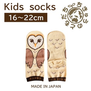 日本製　靴下【1P】キッズソックス【フクロウ】