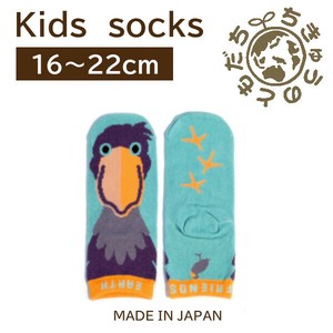 日本製　靴下【1P】キッズソックス【ハシビロコウ】