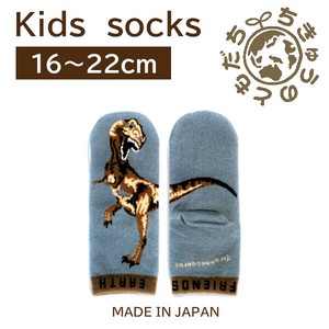 日本製　靴下【1P】キッズソックス【ティラノサウルス】