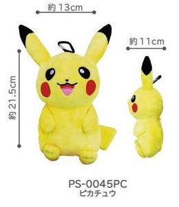 Backpack Pocket