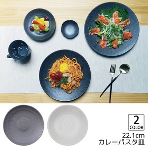 【煌】 22.1cm　軽量 カレーパスタ皿