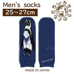 日本製　靴下【1P】メンズソックス【ペンギン】
