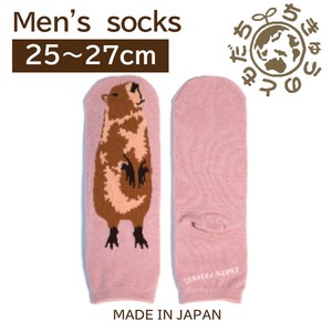 日本製　靴下【1P】メンズソックス【カピバラ】