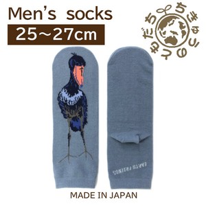 日本製　靴下【1P】メンズソックス【ハシビロコウ】