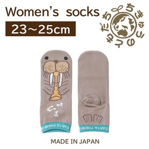 日本製　靴下【1P】レディースソックス【ペンギン】