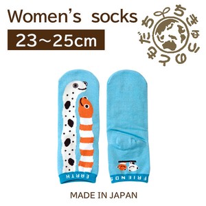 日本製　靴下【1P】レディースソックス【チンアナゴ&ニシキアナゴ】