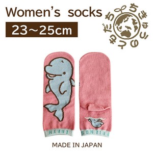 日本製　靴下【1P】レディースソックス【ブルーイルカ】