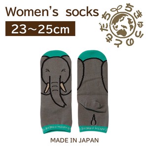 日本製　靴下【1P】レディースソックス【ゾウ】
