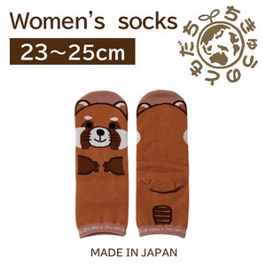 日本製　靴下【1P】レディースソックス【レッサーパンダ】