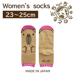 日本製　靴下【1P】レディースソックス【カピバラピンク】