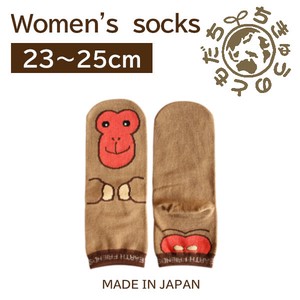 日本製　靴下【1P】レディースソックス【日本ザル】