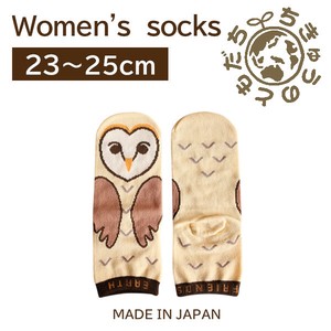 日本製　靴下【1P】レディースソックス【フクロウ】