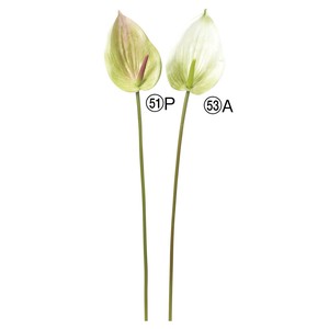 【asca】【アスカ商会】アンスリウム 2色　造花