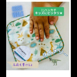 Gauze Handkerchief Made in Japan