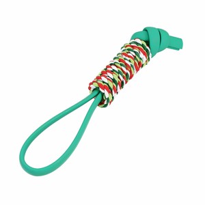 Dog Toy Green Tags Toy