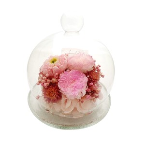 音々 ねおん ピンク 現代仏花 供花 お供え ドーム型 マム 菊 キク 和風 ギフト プレゼント