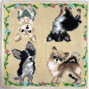 日本製シェニール織り タオルハンカチ ハンドタオル ペット愛犬アニマル　チワワ 母の日