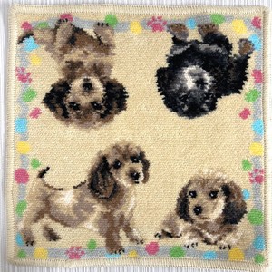 日本製シェニール織り タオルハンカチ ハンドタオル ペット愛犬アニマル ミニチュアダックス　母の日