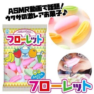 竹下製菓　フローレット 60g　昔ながらの日本のお菓子　ASMRで話題　再入荷！！
