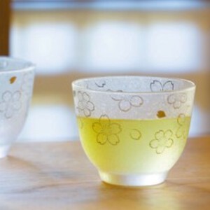 杯子/保温杯 Premium 4件每组 日本制造
