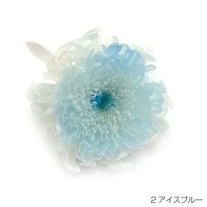 即納 グラデーションマムこまち アイスブルー プリザーブドフラワー 菊 花材 丸い花 青色