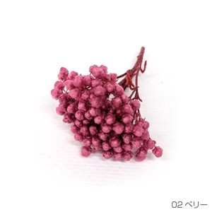 即納 ライスフラワー（パステルシリーズ）ベリー  プリザーブドフラワー 花材 小さい花 赤紫色