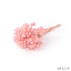 即納 ライスフラワー（パステルシリーズ）ピンク  プリザーブドフラワー 花材 小さい花 桃色