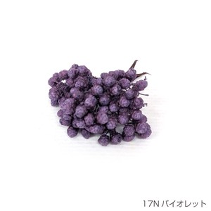 即納 ライスフラワー(ナチュラルシリーズ）バイオレット  プリザーブドフラワー 花材 小さい花 紫色
