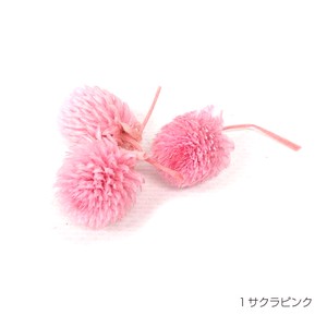 即納 センニチコウ サクラピンク プリザーブドフラワー 千日紅 花材 丸い花 桃色
