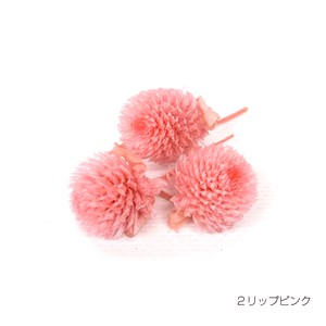 即納 センニチコウ リップピンク プリザーブドフラワー 千日紅 花材 丸い花 桃色