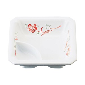 Bento Box Made in Japan