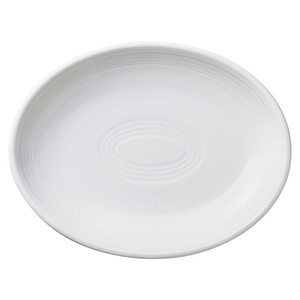 Main Plate Porcelain 24cm Made in Japan
