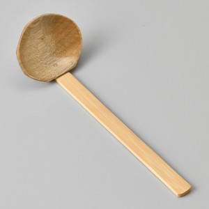 Spoon Wooden Small Clear NEW