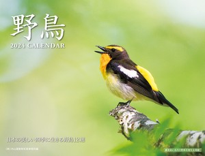 2024 野鳥カレンダー