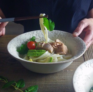 益子烧 大餐盘/中餐盘