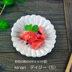 【益子焼】kinari（キナリ）デイジー(S)