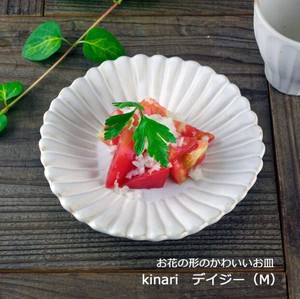 【益子焼】kinari（キナリ） デイジー(M)