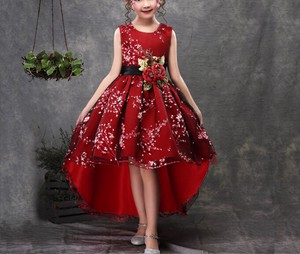 Kids' Formal Dress Little Girls Sleeveless One-piece Dress