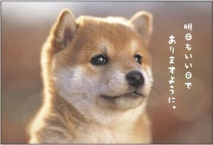 明信片 秋